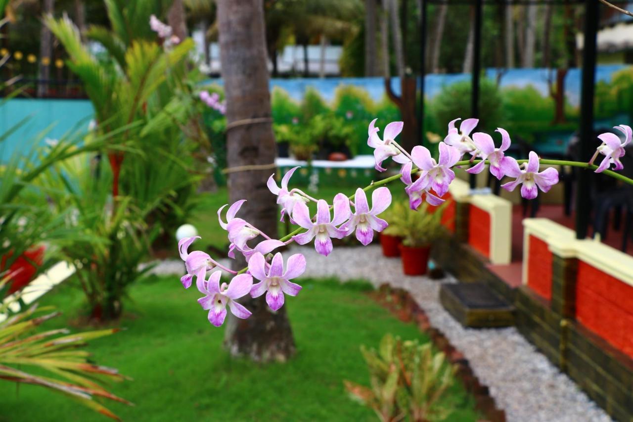 Divine Bliss Beach Resort Варкала Екстер'єр фото